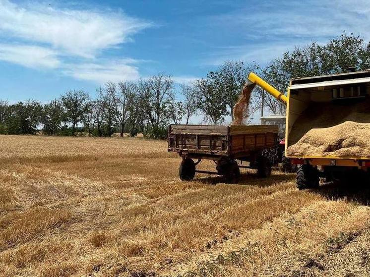 Уборочная кампания в Запорожской области преодолела «экватор»