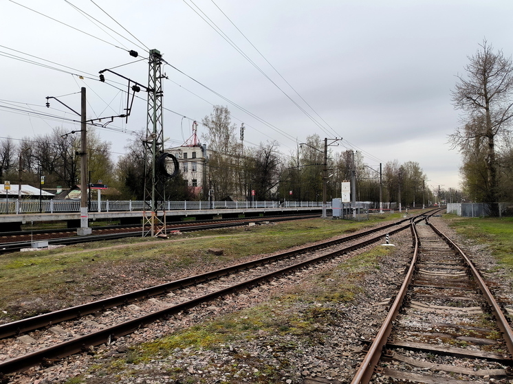 Человек погиб после столкновения двух поездов в Белгородской области