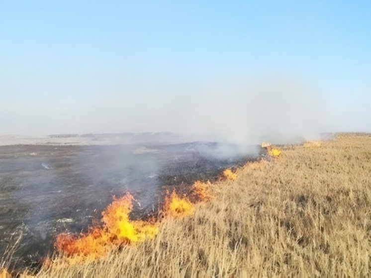 В Калмыкии вновь прогнозируют высокую пожарную опасность