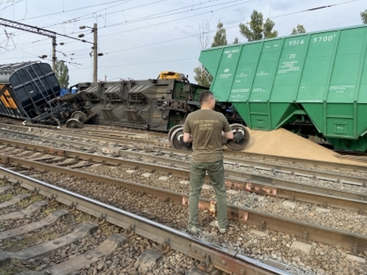 После схода 9 вагонов под Воронежем восстановили движение поездов