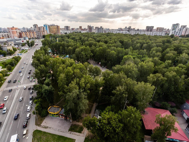 Новосибирские власти дали владельцам брошенных автомобилей неделю