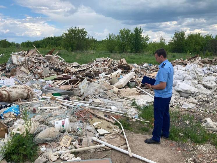 Главе поселения внесено представление за свалку в Дядькове под Рязанью