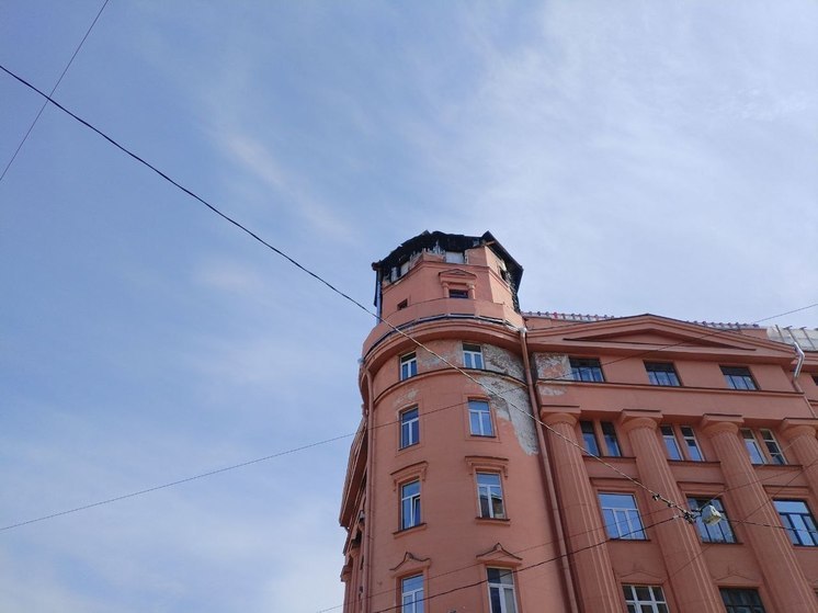 Жительница Тосно пожаловалась на протечки и грибок в квартире губернатору Дрозденко