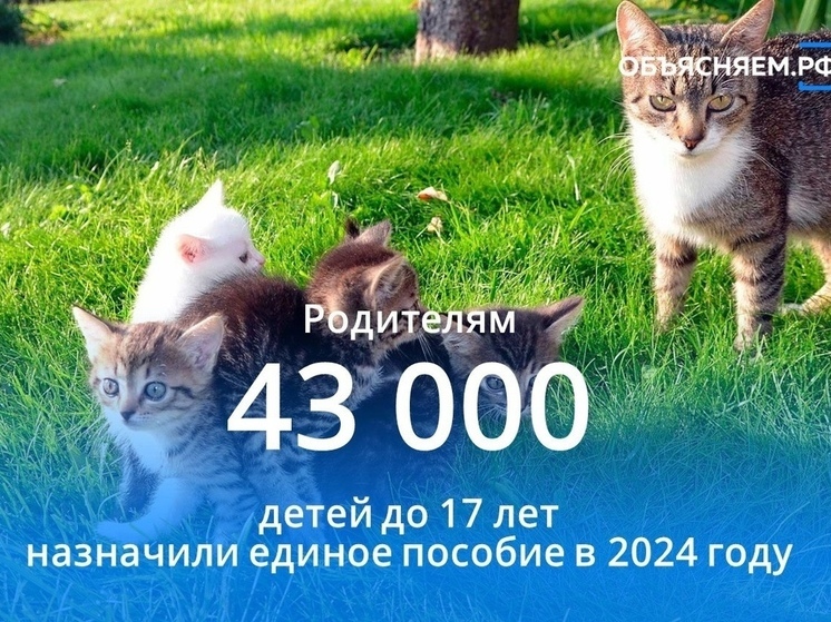 Смоленские родители начали получать выплату до 15 000 рублей