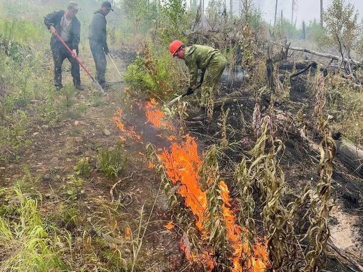В Бурятии дожди помогут сбить пожары в тайге