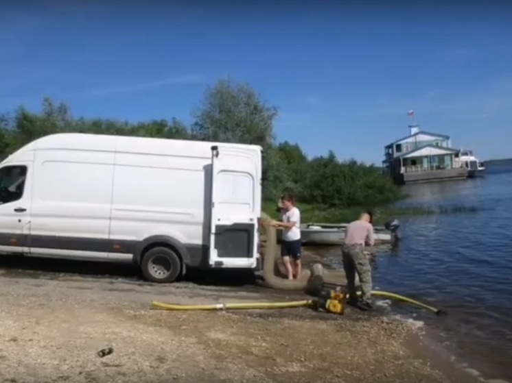 Во Владимирской области в реку выпустили 5 тыс мальков стерляди