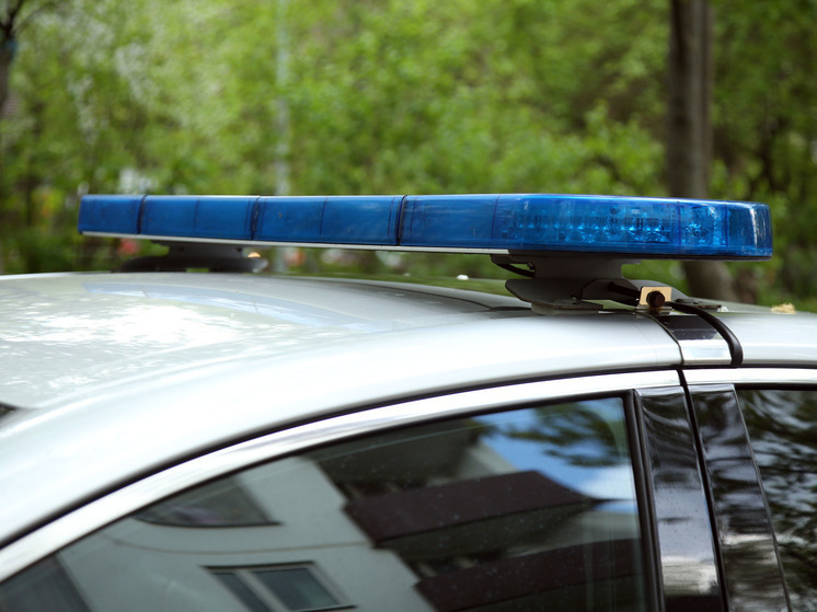 В Подмосковье полиция разыскивает двух мужчин за хулиганство во дворе