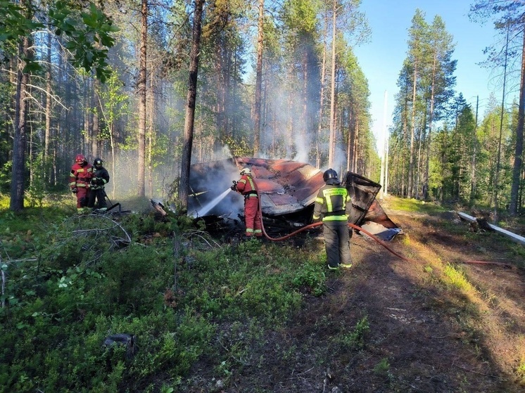 Огонь уничтожил металлическую постройку в лесу под Апатитами