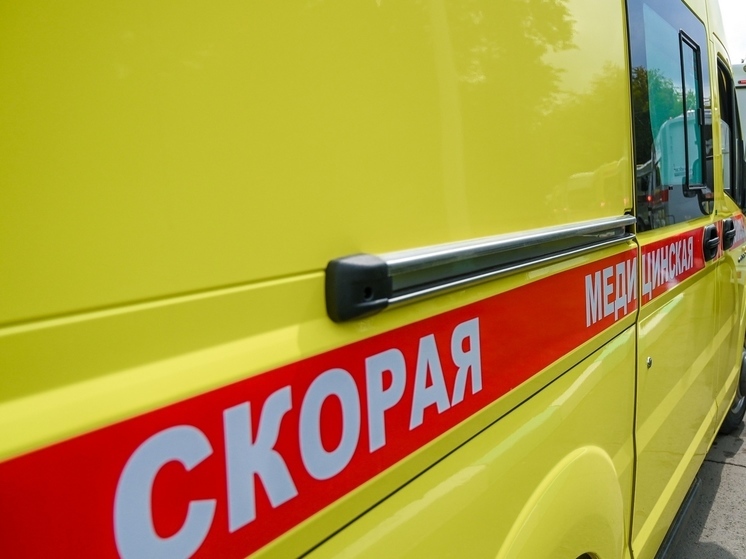 В Челябинской области при пожаре погиб 8-летний ребенок