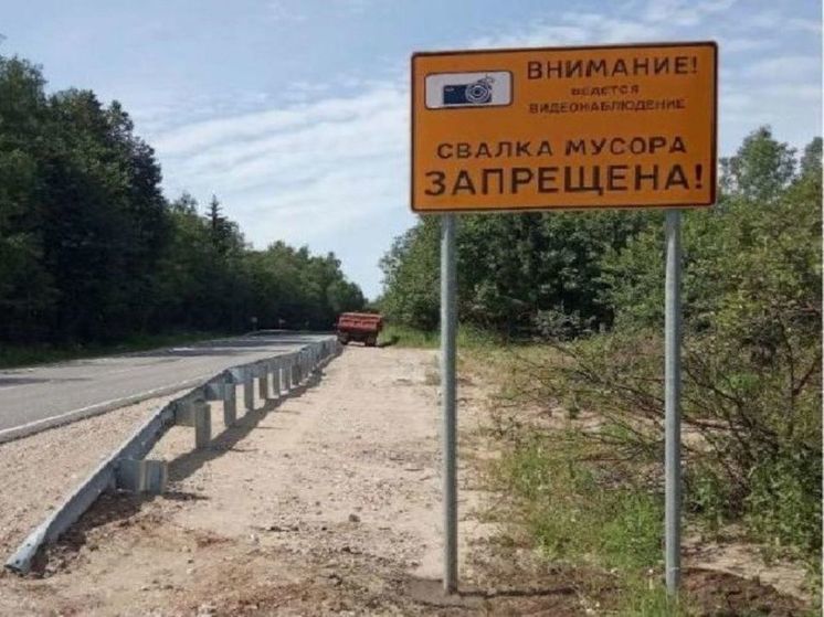 Незаконную свалку на трассе ликвидировали в Рузском округе