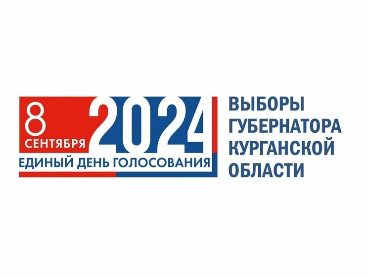 Пять кандидатов подали документы для участия в выборах главы Зауралья