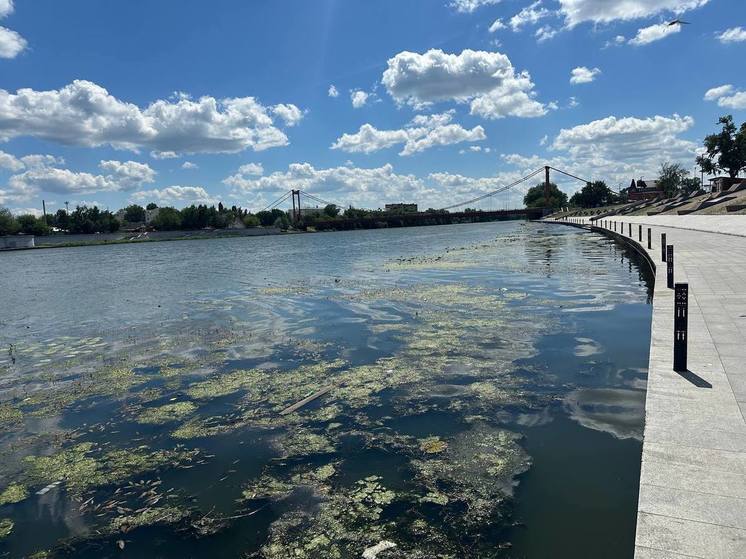 В Пензе очистят водную гладь Суры от мусора