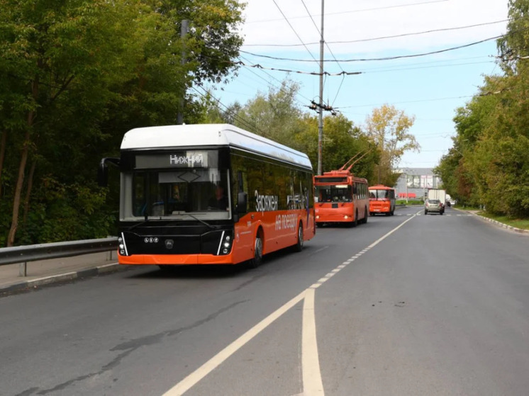 Электробусам Э-13 и Э-31 могут продлить маршруты до Новинок