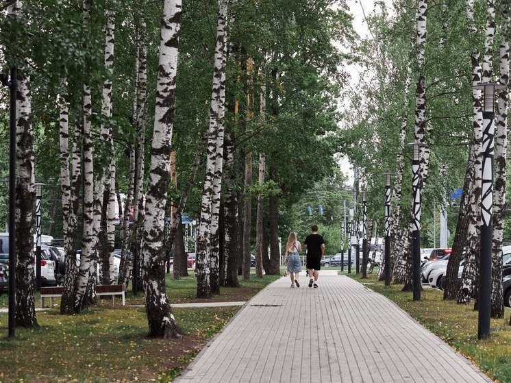 Жара до +33°C ожидает пензенцев в ближайшую среду