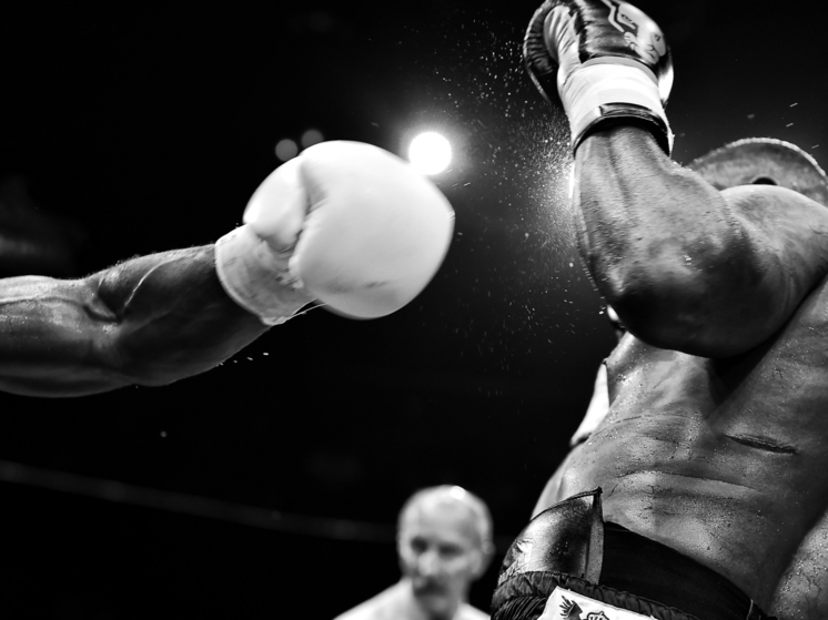 Boxing and sambo can cause parkinsonism