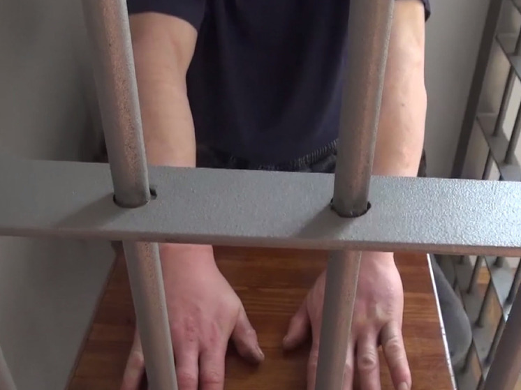 Полиция задержала водителя за бесчинства во дворе Красногорска