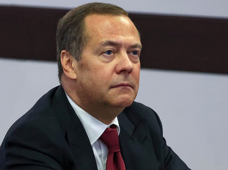 Дмитрий Медведев: "Боец, убей врага"