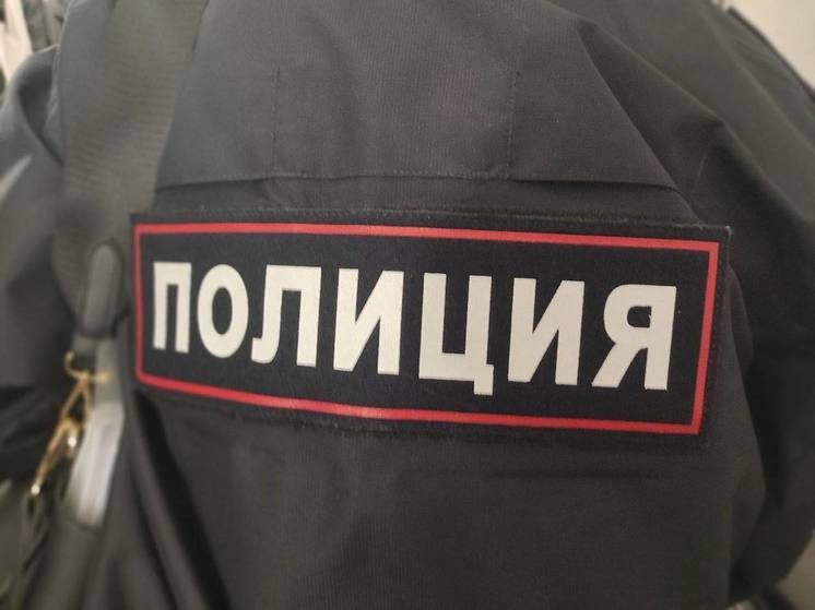 Петербургская полиция помогла одинокой блокаднице поднять шкаф