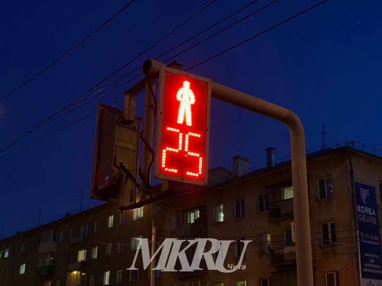 Журналистку газеты «Забайкальский рабочий» сбили в Чите