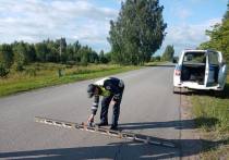 Поздним вечером 15 июля в селе Елань Байкаловского района Свердловской области грузовик Foton задавил 62-летнего пешехода