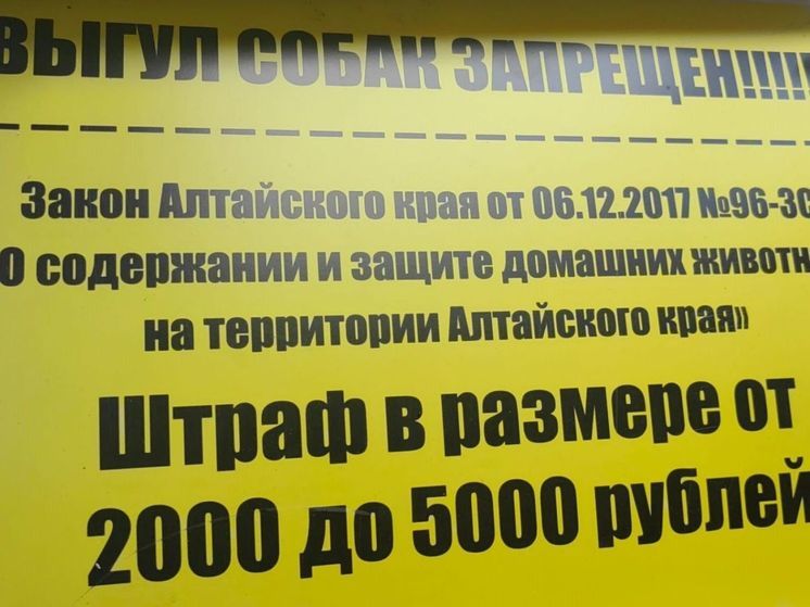 В Бийске  устанавливают таблички и вводят запрет на выгул собак в парках