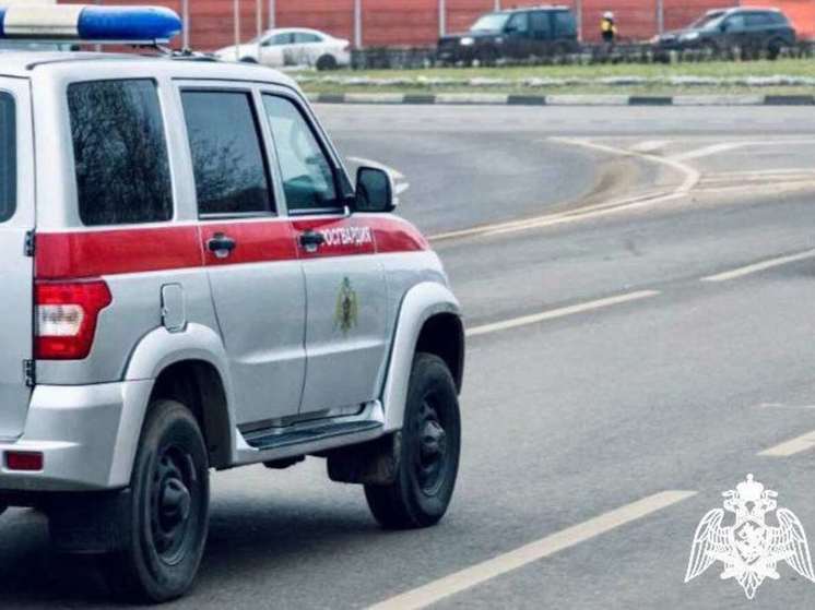 Подозреваемого в краже задержали росгвардейцы Подмосковья