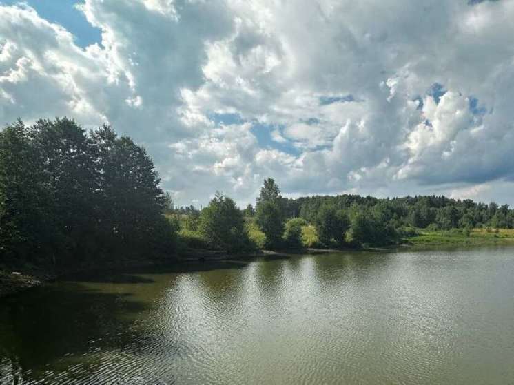 В Подмосковье специалисты очистили от мусора еще 4 водоема