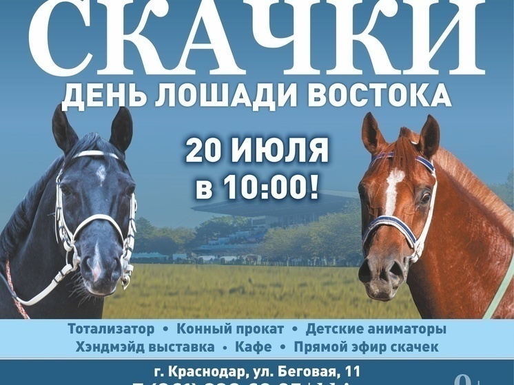 На Краснодарском ипподроме пройдет 8 скаковой день, посвященный «Лошади Востока»