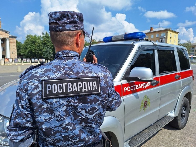 Нетрезвую автоледи задержали в Подмосковье росгвардейцы