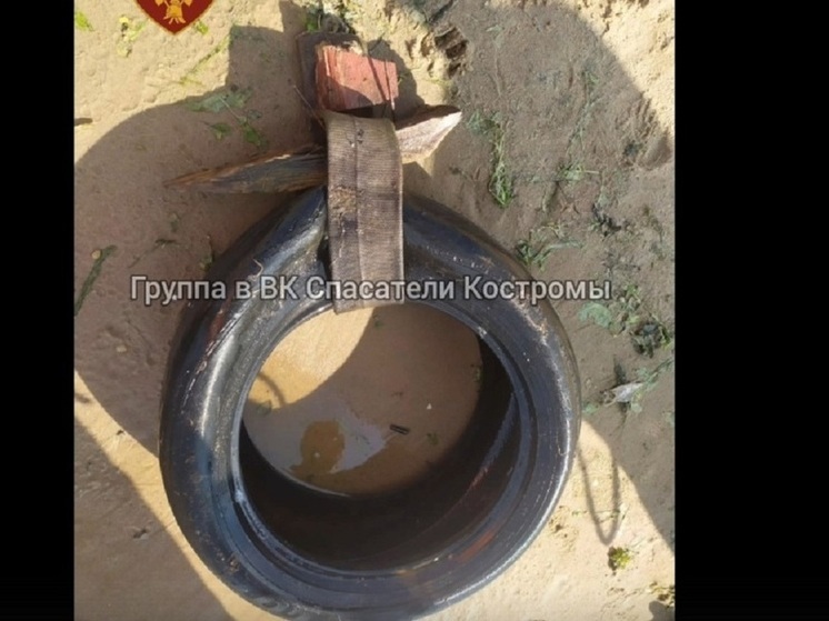 Опасную находку достали из воды на костромском пляже