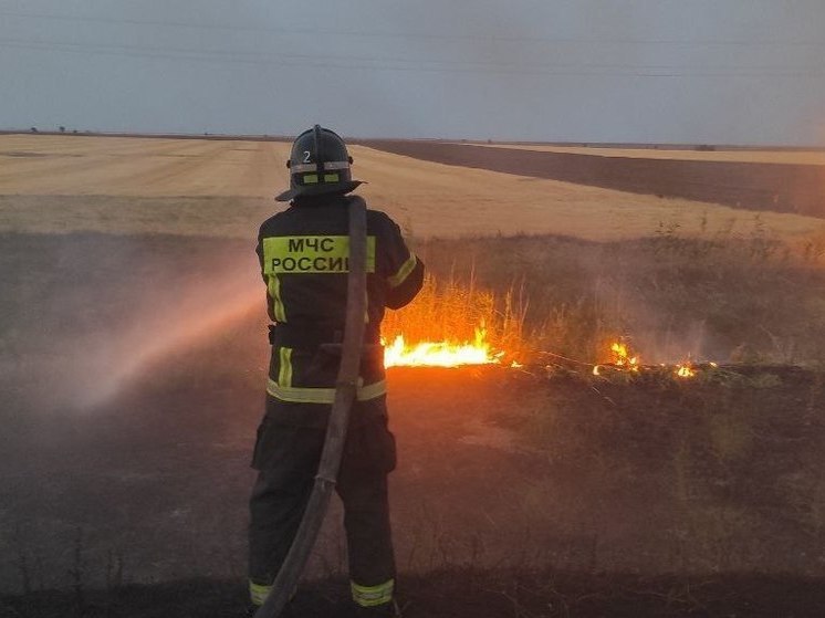 В Херсонской области потушили 19 пожаров за сутки