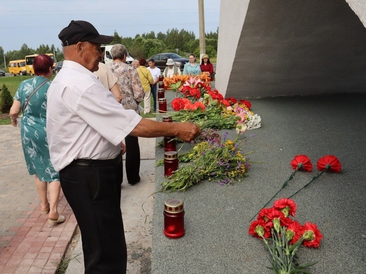 Сольцы отмечают 83-ю годовщину первого успешного контрудара Красной Армии