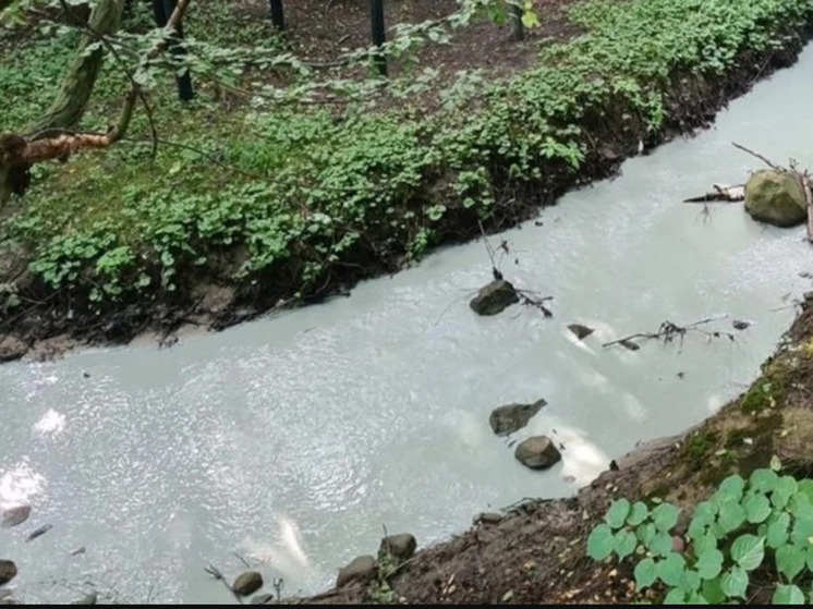 В Пионерском море стало серым из-за грязной речной воды