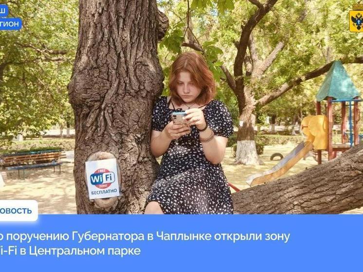 В Чаплынке на Херсонщине появился Интернет в парке