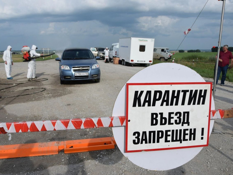 В Гурьевске ввели режим ЧС из-за вируса африканской чумы свиней