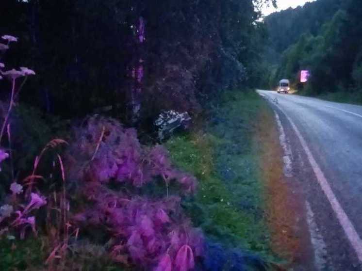 На Алтае водитель уснул за рулем и устроил ДТП, девятилетняя девочка госпитализирована