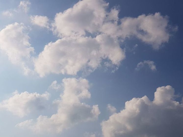 В Подмосковье сегодня вероятны кратковременные ливни и грозы