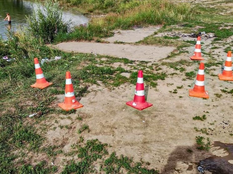 В Барнауле в ДТП со съехавшей в озеро «Тойотой» пострадали ребенок и трое взрослых