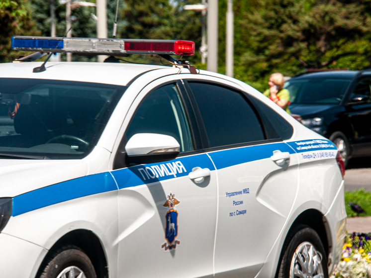 20-летнюю жительницу Подмосковья задержали за поджог полицейского автомобиля