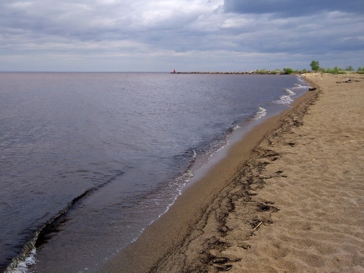 Количество погибших на водоемах Вологодской области возросло до 24 человек