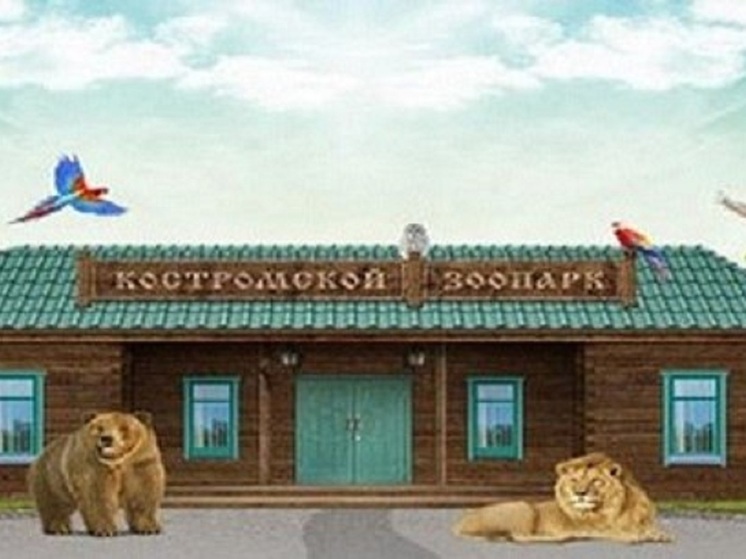 Обосновавшиеся в Костроме дикие утки потихоньку перебираются в зоопарк