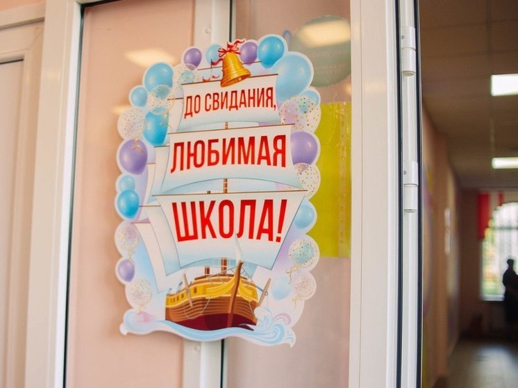 Выпускники хабаровских школ в 2024 году выбирают IT и педагогику и образование