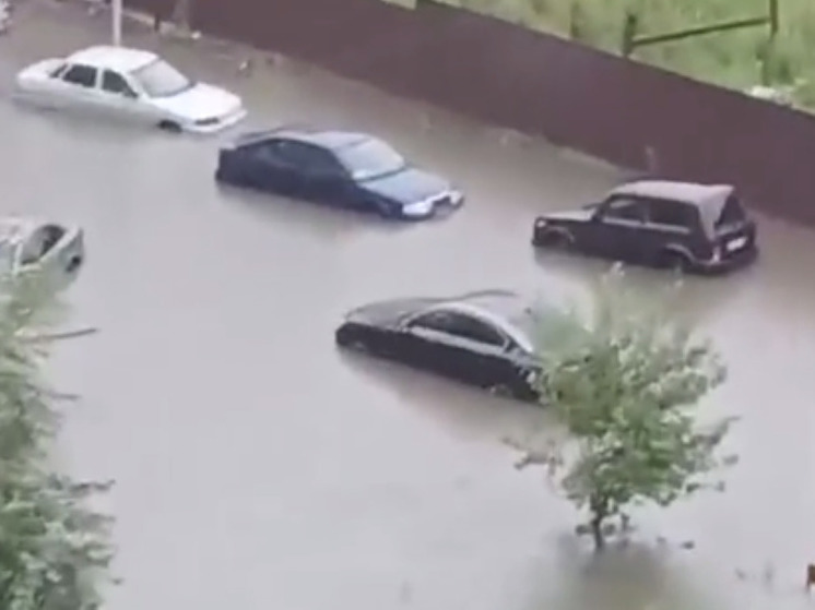 В Подмосковье за ночь выпало четверть месячной нормы осадков