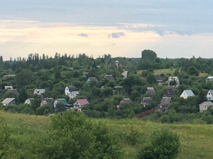 Житель Воронежской области обокрал 11 дачных домов