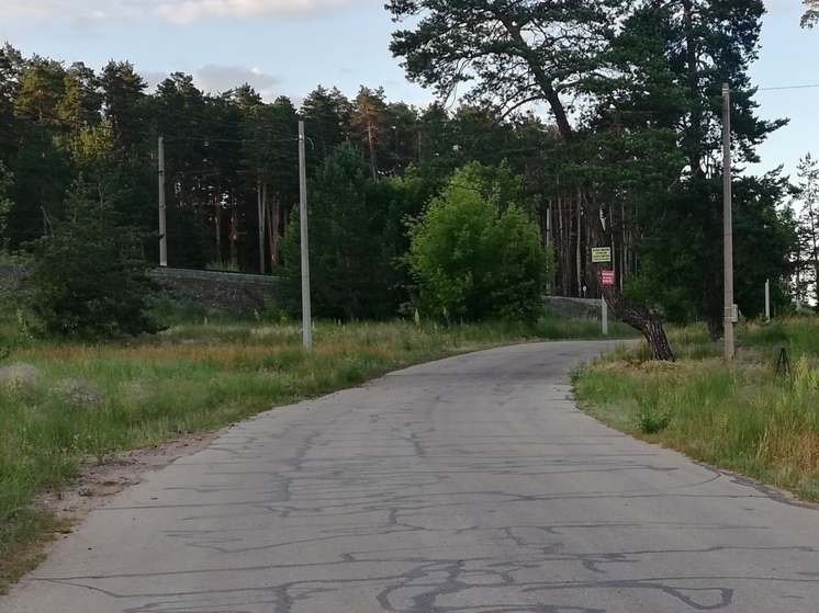 В Оренбуржье первый человек за лето заболел клещевым  боррелиозом