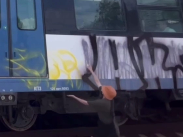 Подмосковную электричку изуродовали вандалы на стоянке в Тушино