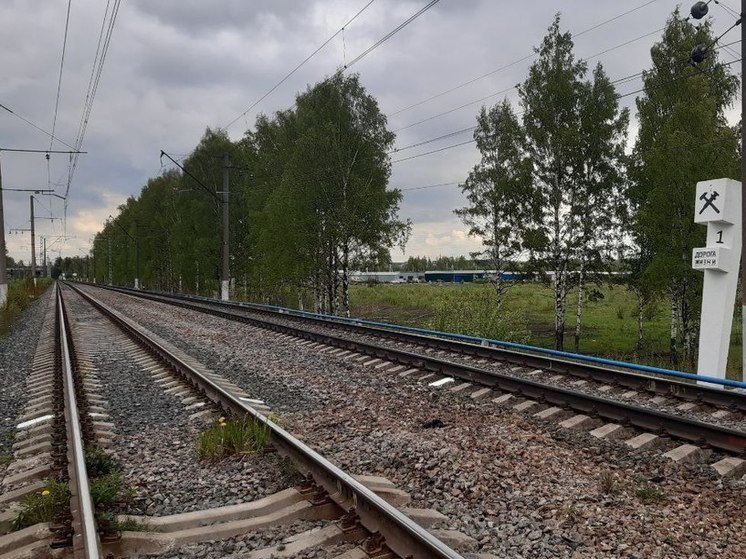 Петербуржцам напомнили об опасностях на железнодорожных переездах