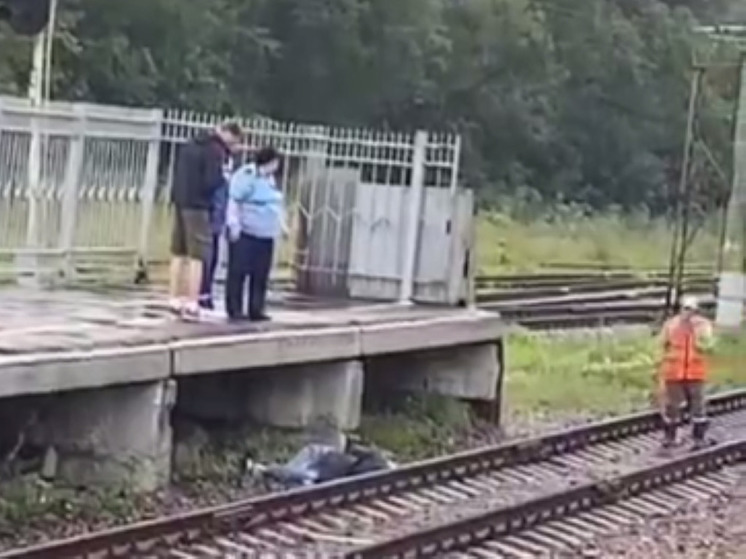 Мужчину насмерть сбила электричка на станции Подлипки-Дачные