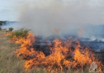 В Республике Крым на 25% увеличилось количество пожаров по сравнению с прошлым годом: порядка 1600 против 1200. Только 15 июля в разных районах полуострова произошло пять крупных природных пожаров, в том числе серьезный пожар в поселке Коктебель, который распространился на территорию Карадагского природного заповедника.