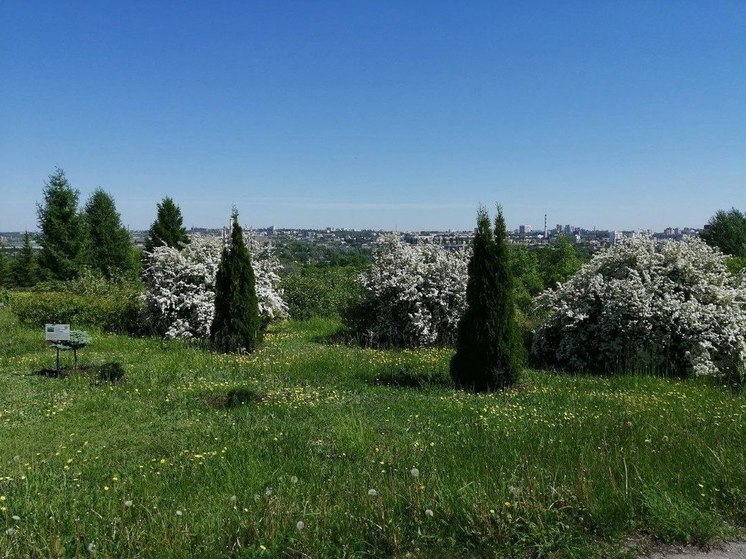 В Белгородской области вновь прогнозируют жаркую погоду